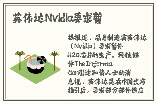 不封号的聊天app